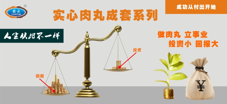 實心肉丸成套設備，讓你從此不一樣